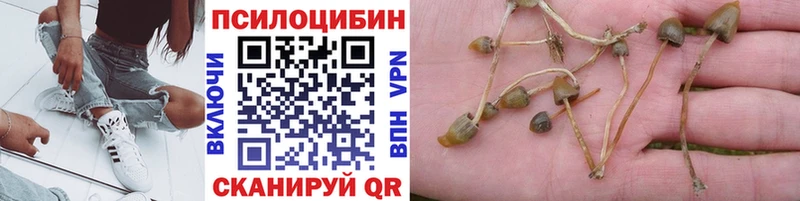 Псилоцибиновые грибы ЛСД  Ярославль 